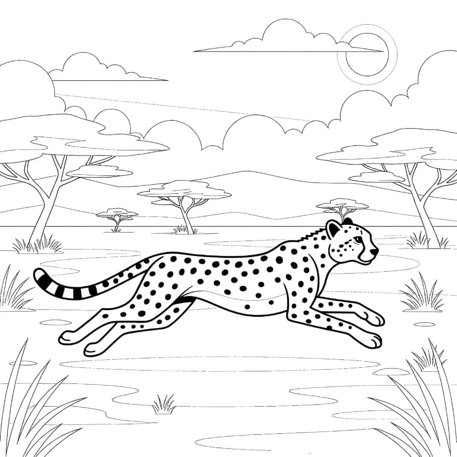Cheetah Running Coloring Page