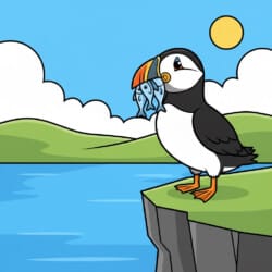 Puffin With Fish Coloring Page - Origin image