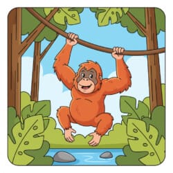 Orangutan Swinging Coloring Page - Origin image