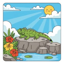 Iguana Basking Rock Coloring Page - Origin image