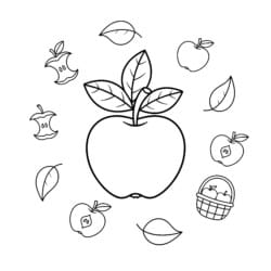 Apple And Leaves Coloring Page - Printable Coloring page