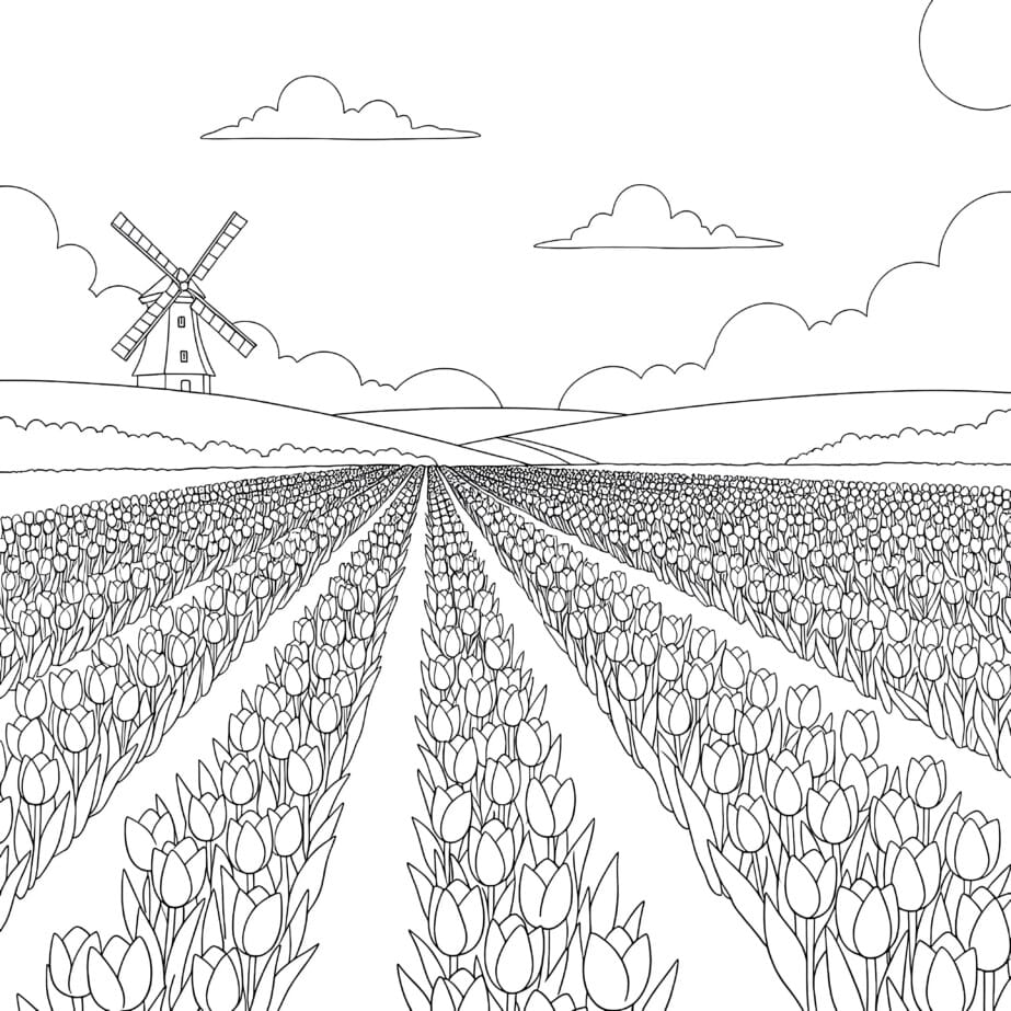 Tulip Field Coloring Page