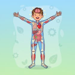 Human Body Coloring Sheet - Origin image