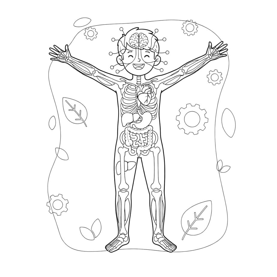 Human Body Coloring Sheet