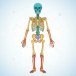 Science Coloring Worksheet - Origin image