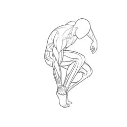 Human Muscle Coloring - Printable Coloring page