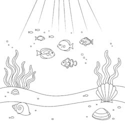 Coloring Page Sea - Printable Coloring page