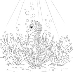 Sea Horse Coloring - Printable Coloring page